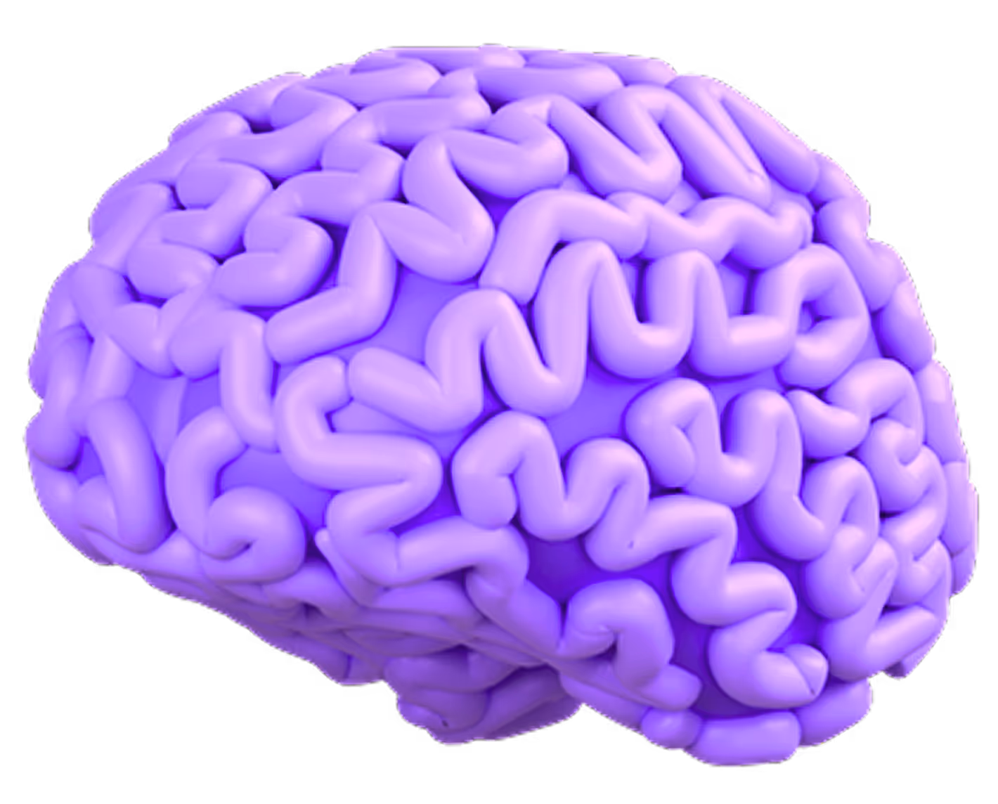 Brain AI